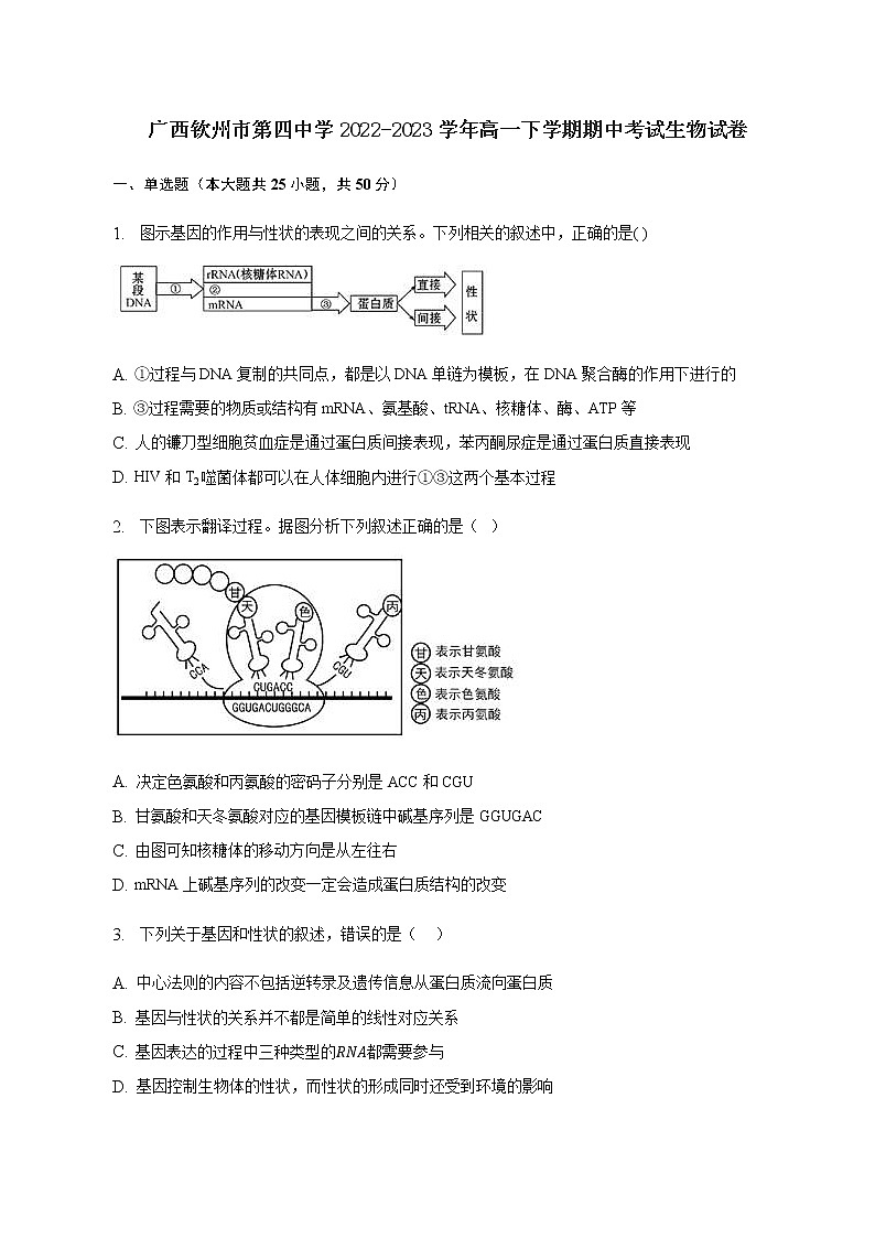 2022-2023学年广西钦州市第四中学高一下学期期中考试生物试卷含答案01