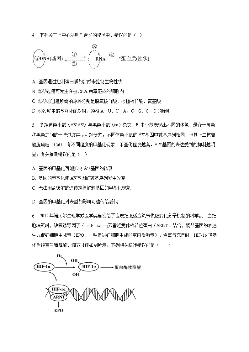2022-2023学年广西钦州市第四中学高一下学期期中考试生物试卷含答案02