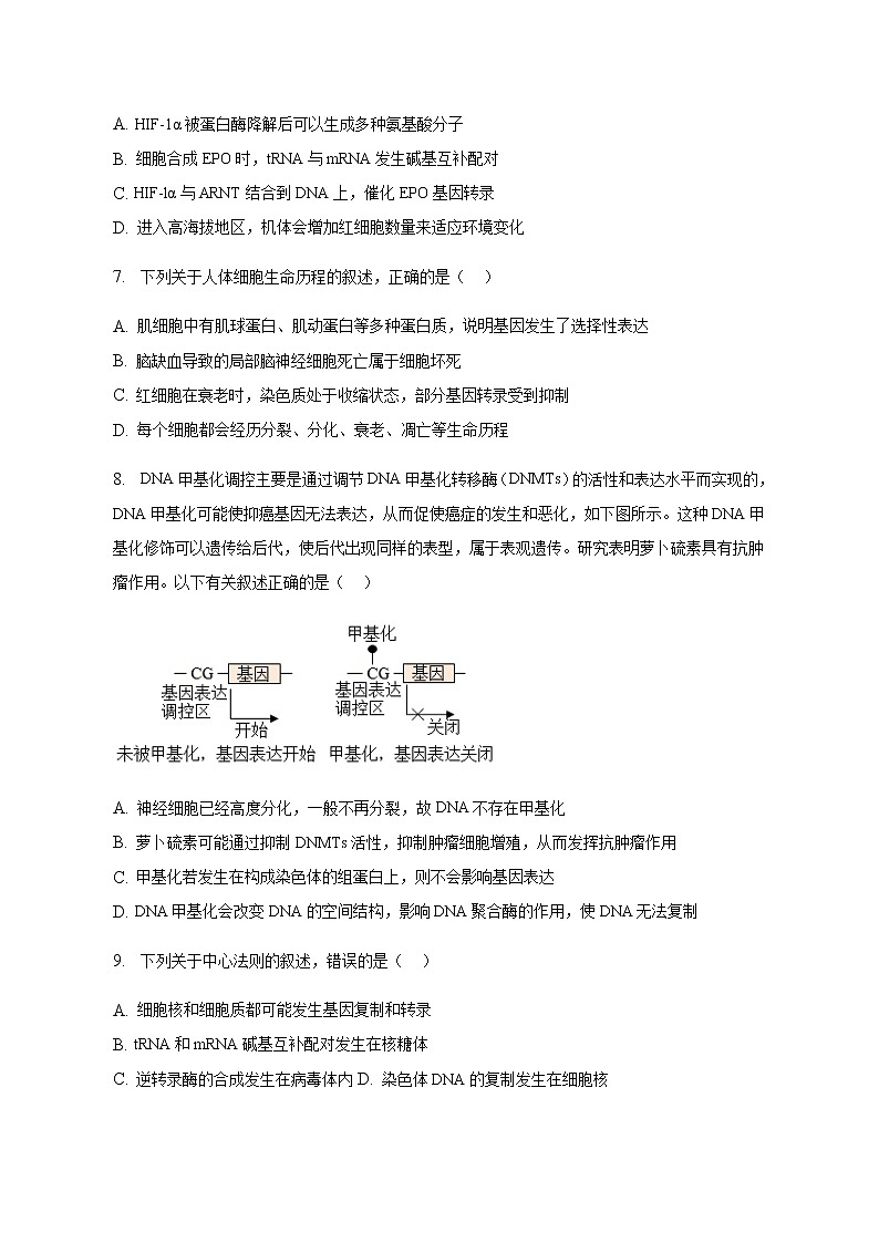2022-2023学年广西钦州市第四中学高一下学期期中考试生物试卷含答案03