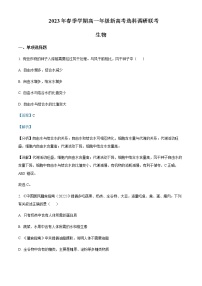 2022-2023学年广西壮族自治区玉林市高一下学期期中生物试题含解析