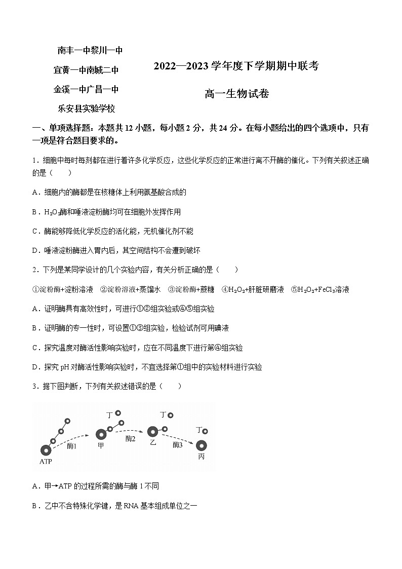 2022-2023学年江西省抚州市七校高一下学期期中生物试题含解析01