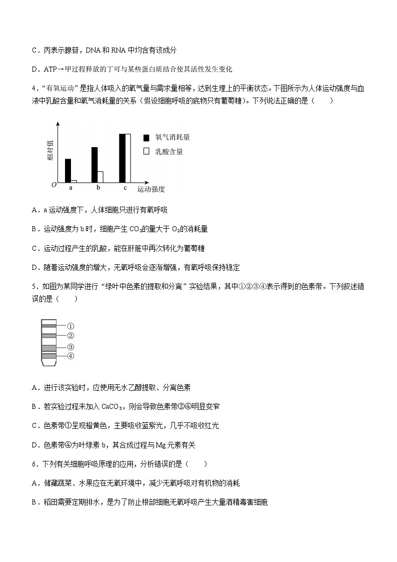 2022-2023学年江西省抚州市七校高一下学期期中生物试题含解析02