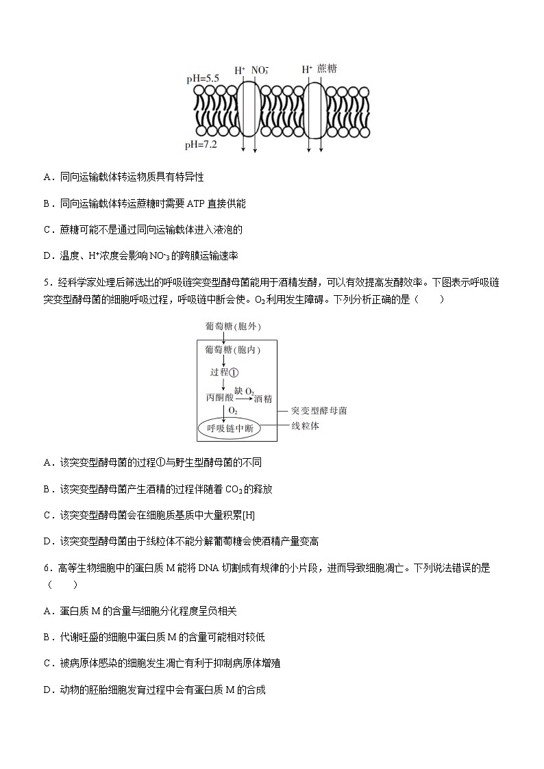2022-2023学年江西省赣州市十六县（市）二十校高一下学期期中联考生物试题含解析02
