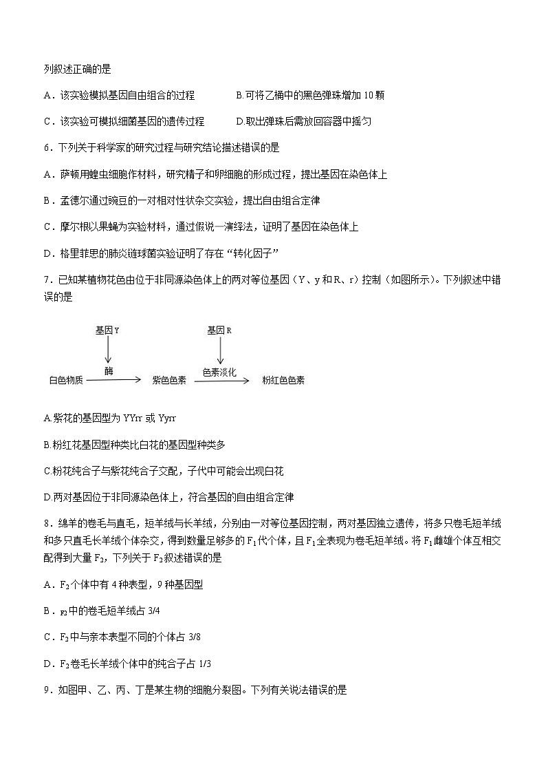 2022-2023学年四川省凉山州高一下学期期中生物试题含答案02