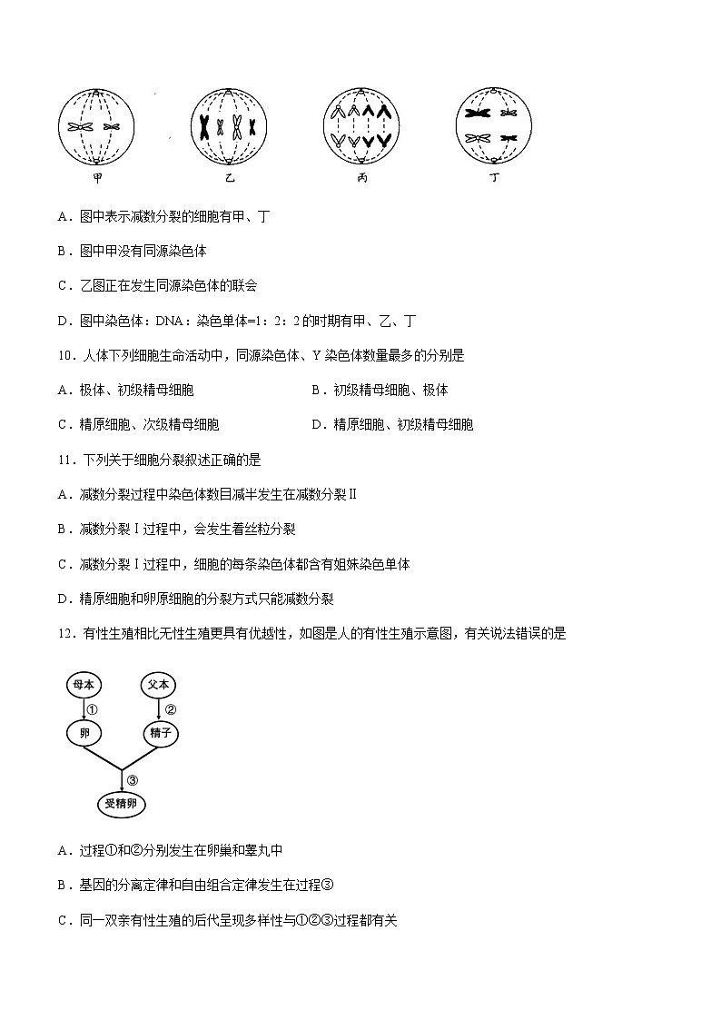 2022-2023学年四川省凉山州高一下学期期中生物试题含答案03