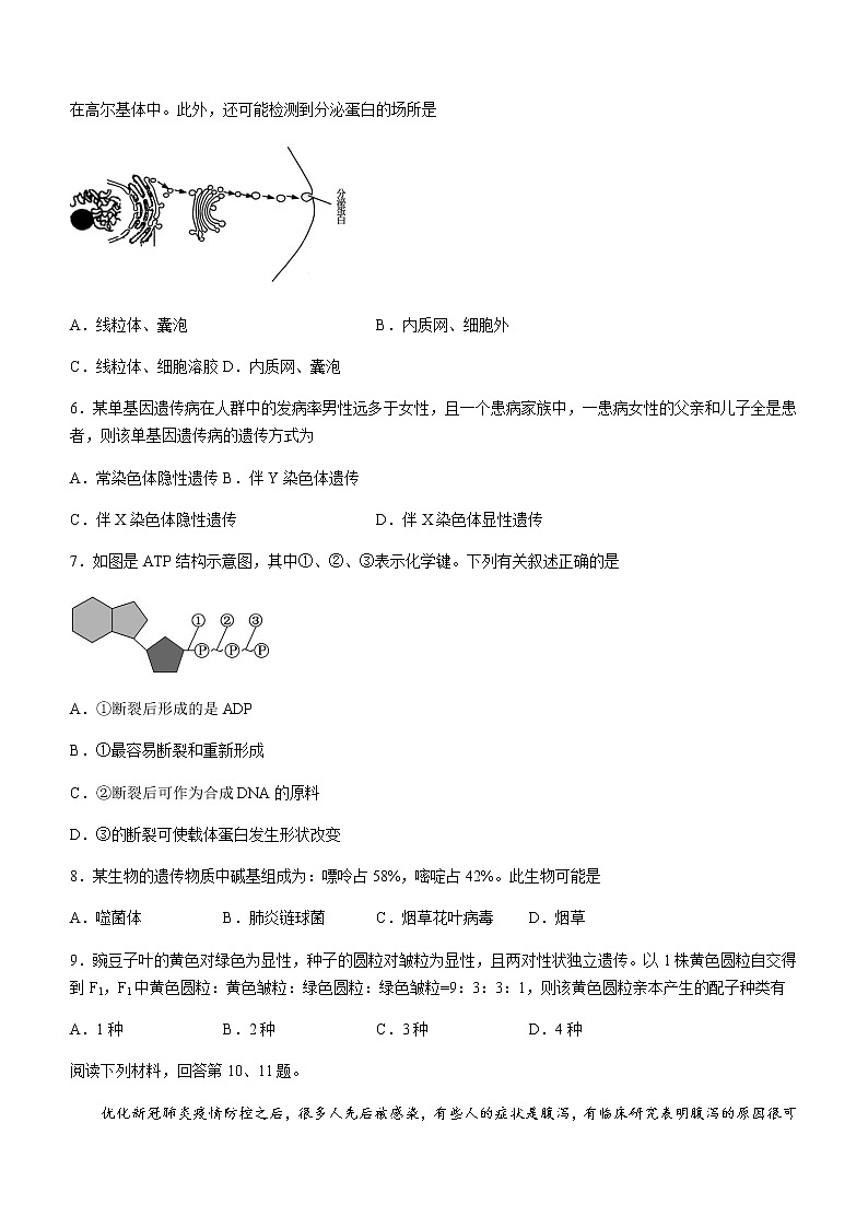 2022-2023学年浙江省高一下学期期中联考生物试题含答案第2页