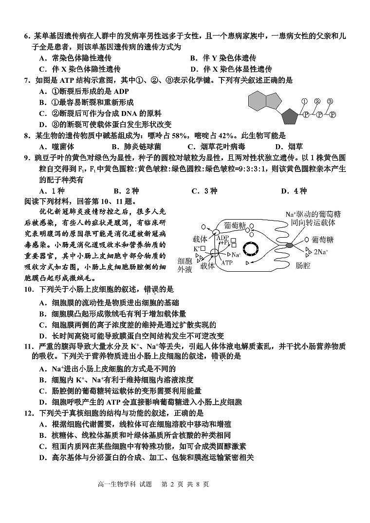 2022-2023学年浙江省钱塘联盟高一下学期期中联考试题生物PDF版含答案02