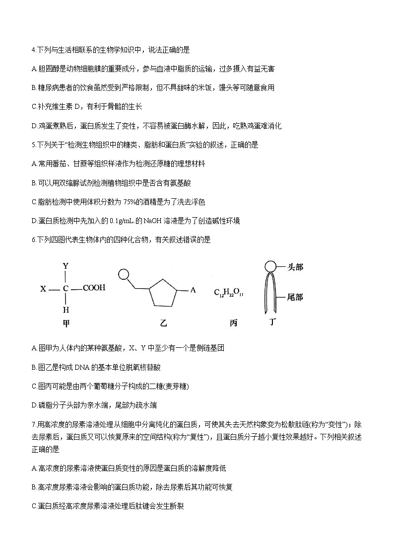 2022-2023学年安徽省定远县三中等3校高一上学期期末联考生物试题含答案第2页