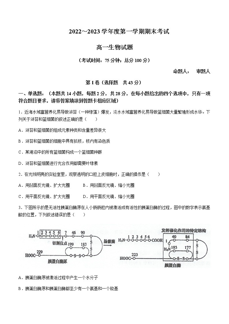 2022-2023学年江苏省泰州中学高一上学期期末生物试题含答案01