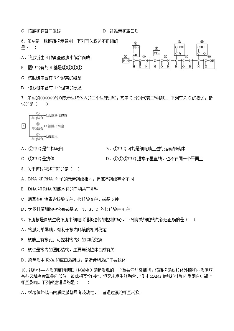 2022-2023学年四川省绵阳东辰国际学校高一生物（上）期末模拟试卷（二）含答案02