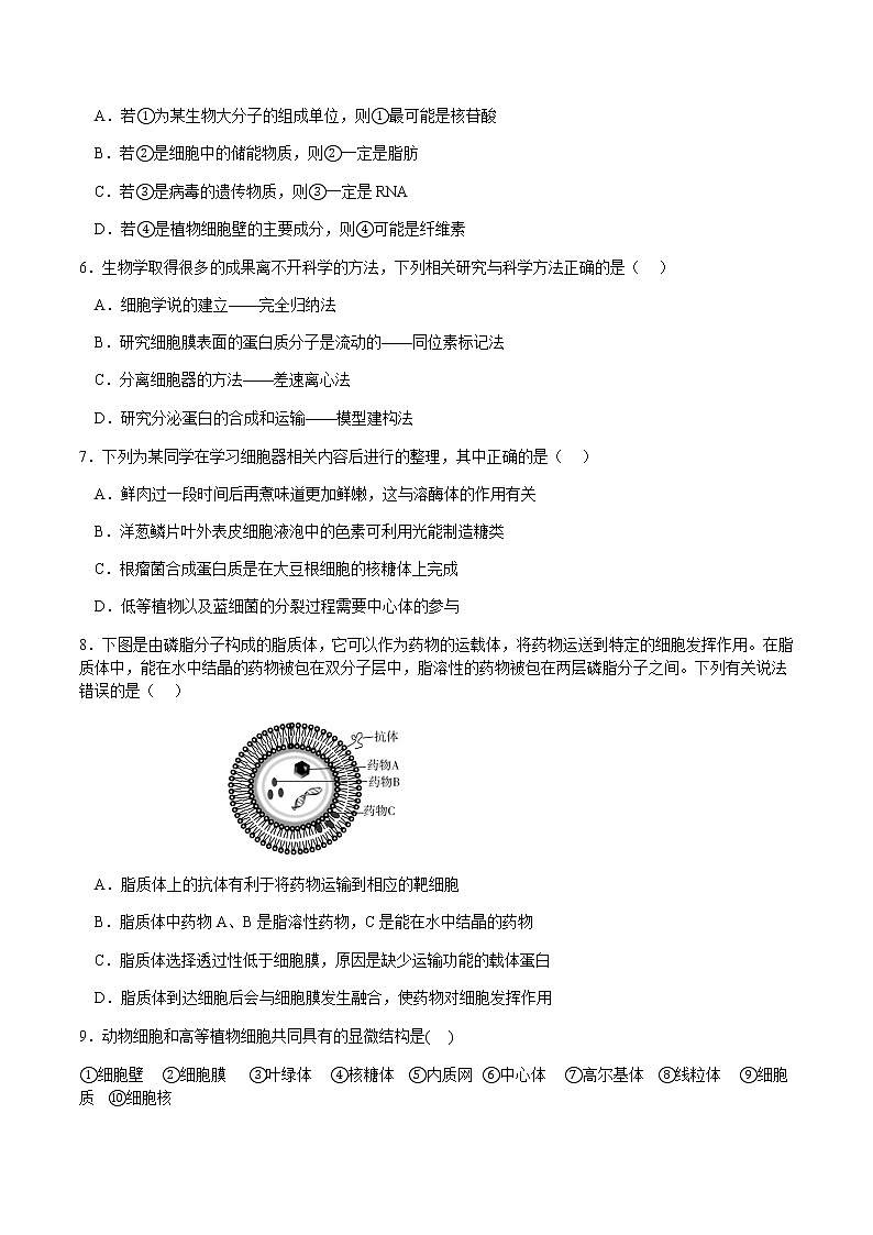 2022-2023学年四川省绵阳东辰国际学校高一生物（上）期末模拟试卷（一）含答案02
