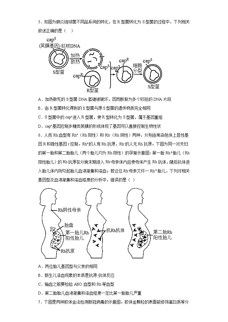 2023届广东省惠州市高三一模生物试题02