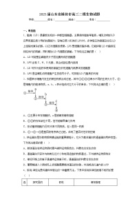 2023届山东省潍坊市高三二模生物试题