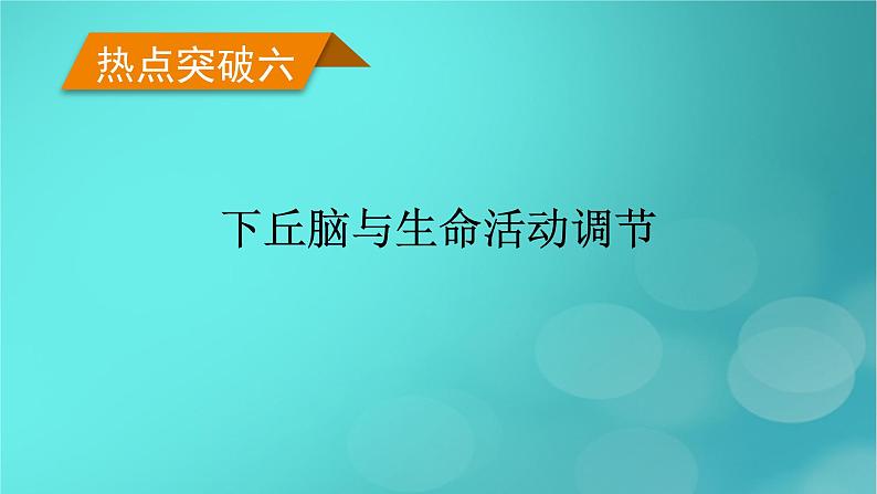 （新高考适用）2023版高考生物二轮总复习 热点突破6 下丘脑与生命活动调节课件第1页