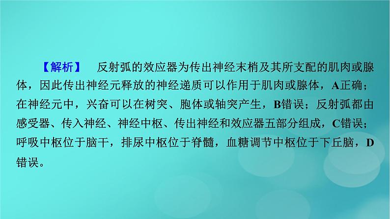 （新高考适用）2023版高考生物二轮总复习 热点突破6 下丘脑与生命活动调节课件第4页