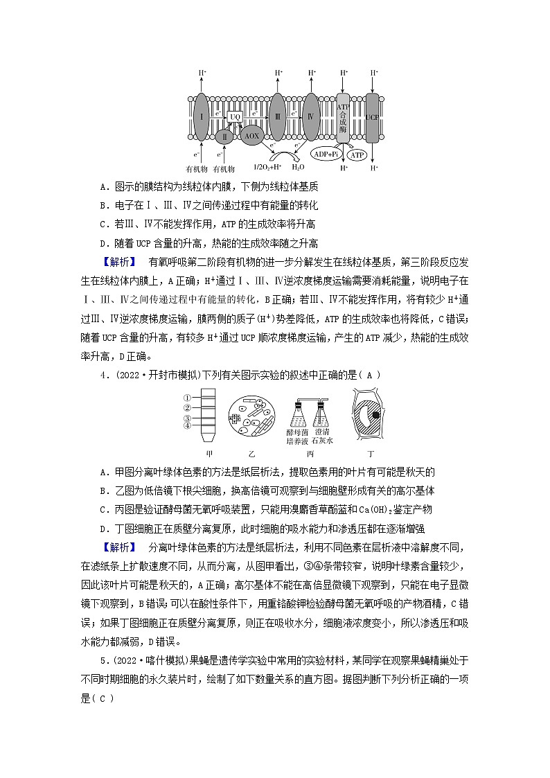（新高考适用）2023版高考生物二轮总复习 选择专题练4第2页