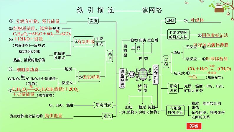 2023新教材高考生物二轮专题复习 专题二 生命系统的代谢 第2讲 细胞呼吸和光合作用课件05