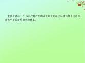 2023新教材高考生物二轮专题复习 专题六 第1讲 种群和群落课件
