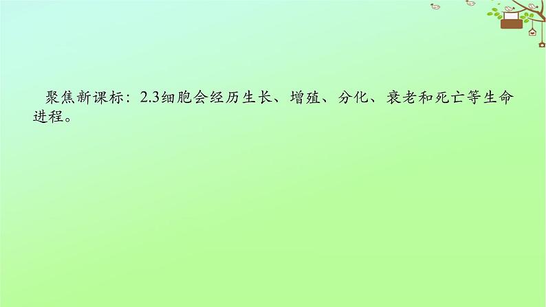 2023新教材高考生物二轮专题复习 专题三 生命系统的延续 第2讲 细胞的分化、衰老、死亡和癌变课件第2页