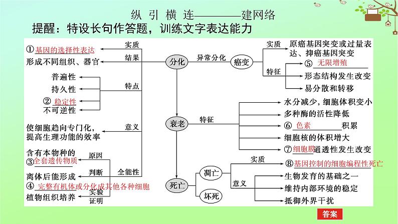 2023新教材高考生物二轮专题复习 专题三 生命系统的延续 第2讲 细胞的分化、衰老、死亡和癌变课件第5页