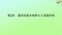 2023新教材高考生物二轮专题复习 专题四 生命系统的遗传、变异、进化 第2讲 遗传的基本规律与人类遗传病课件