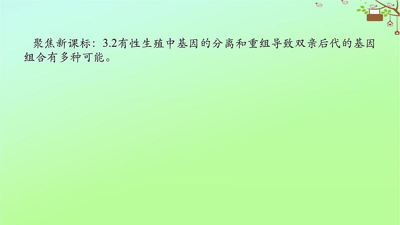 2023新教材高考生物二轮专题复习 专题四 生命系统的遗传、变异、进化 第2讲 遗传的基本规律与人类遗传病课件02