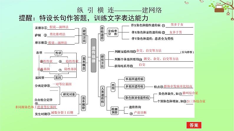 2023新教材高考生物二轮专题复习 专题四 生命系统的遗传、变异、进化 第2讲 遗传的基本规律与人类遗传病课件05