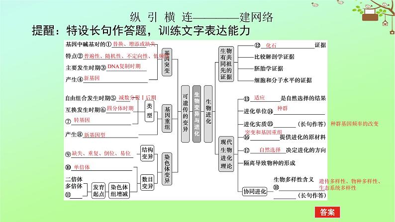 2023新教材高考生物二轮专题复习 专题四 生命系统的遗传、变异、进化 第3讲 生物变异与进化课件05