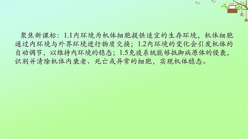 2023新教材高考生物二轮专题复习 专题五 生命系统的稳态与调节 第3讲 人体的内环境与稳态课件02