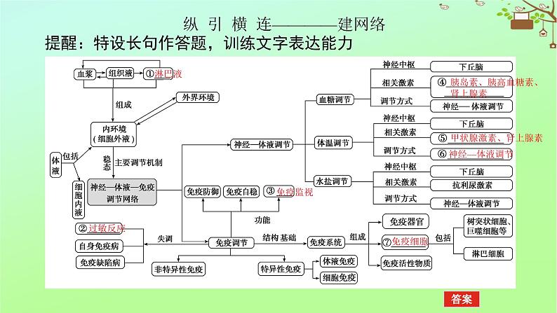 2023新教材高考生物二轮专题复习 专题五 生命系统的稳态与调节 第3讲 人体的内环境与稳态课件05