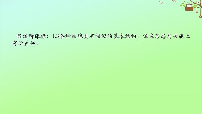 2023新教材高考生物二轮专题复习 专题一 生命系统的物质基础和结构基础 第2讲 生命系统的结构基础课件02