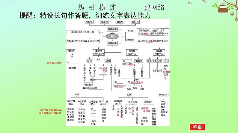 2023新教材高考生物二轮专题复习 专题一 生命系统的物质基础和结构基础 第2讲 生命系统的结构基础课件05