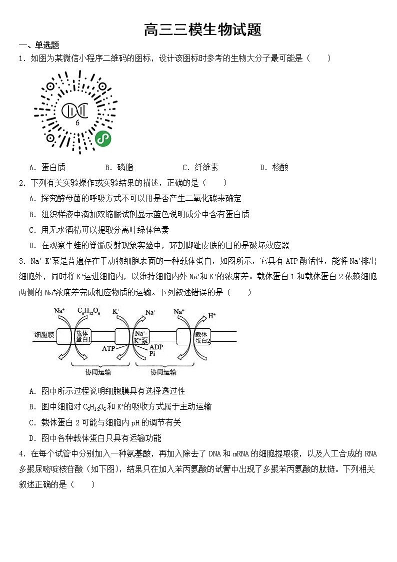 广东省惠州市2023届高三三模生物试题含答案01