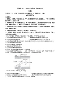 湖北省十堰市2022-2023学年高三下学期4月调研考试生物试题