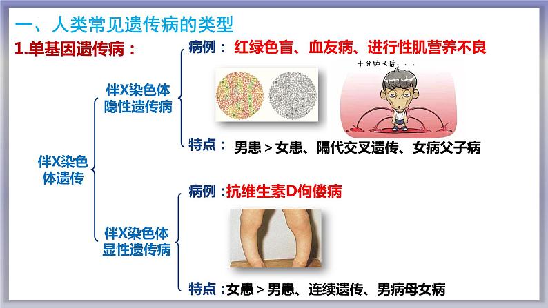 人类遗传病 -人教版必修2 遗传与进化课件PPT第6页