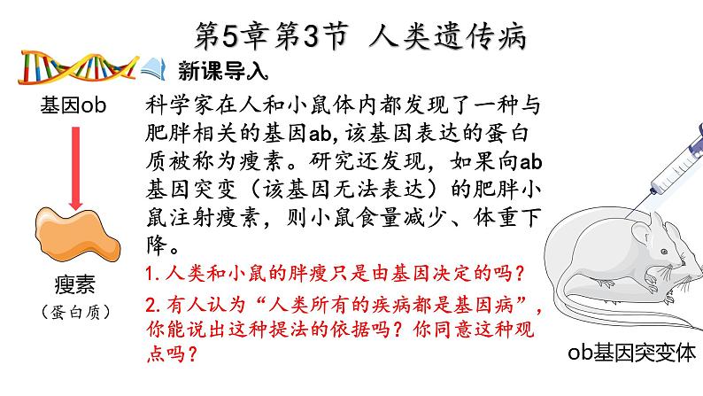 人类遗传病  人教版必修2 遗传与进化课件PPT01