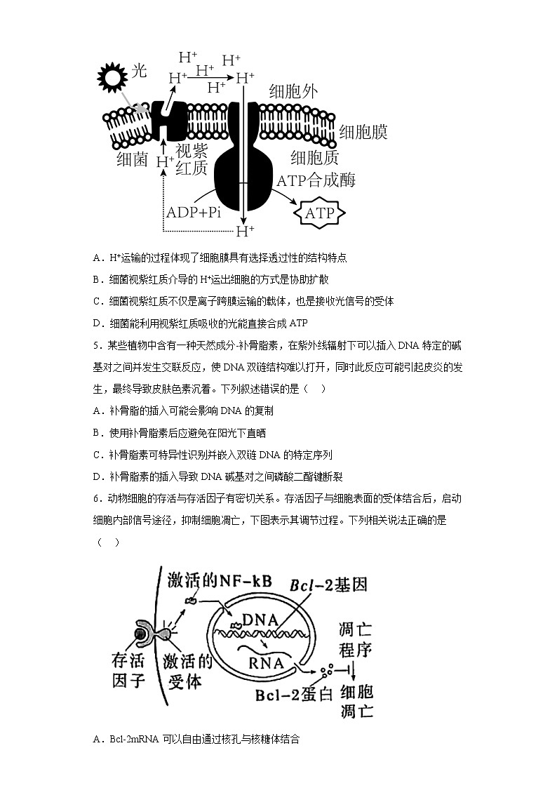 2023届天津市十二区重点学校高三毕业班联考（二）生物试题第2页