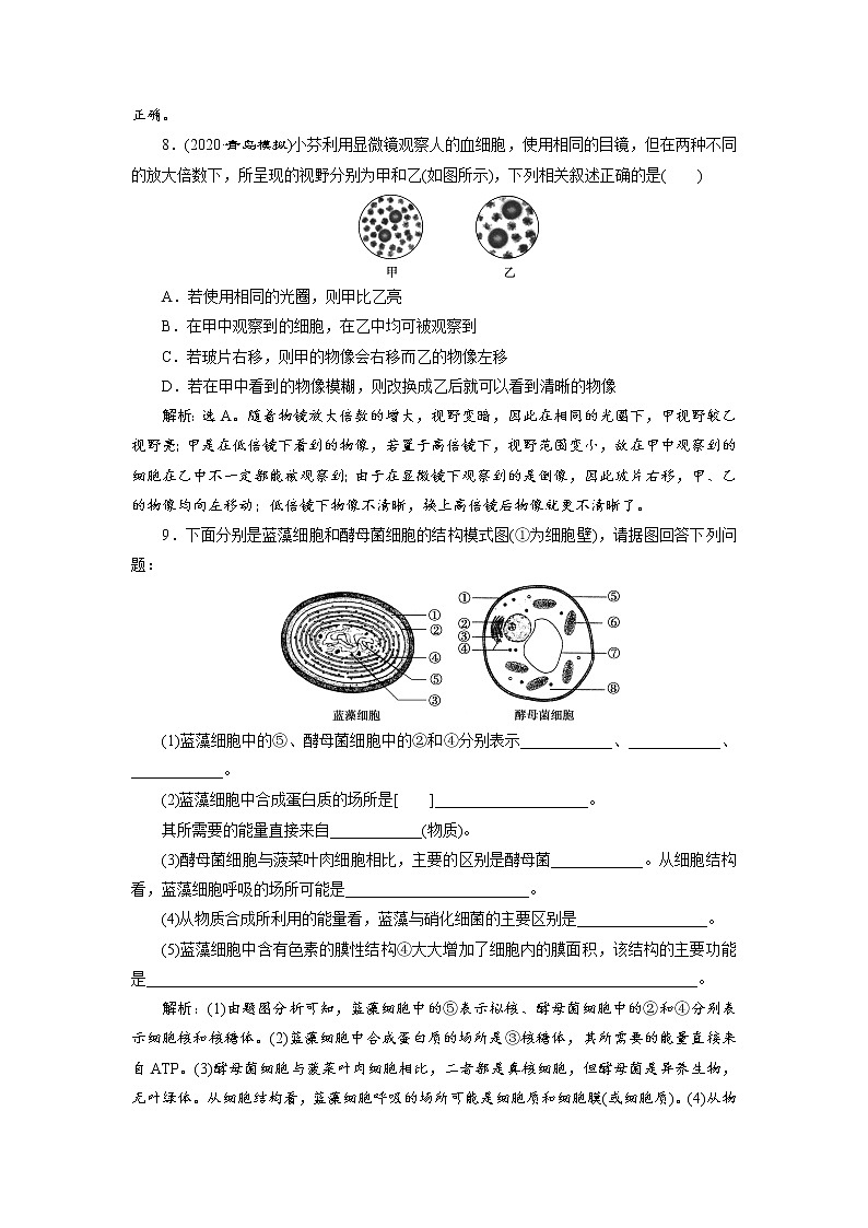 高中生物高考1 第3讲　高效作业知能提升第3页
