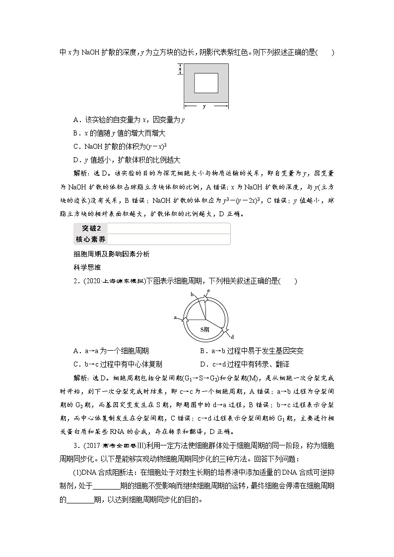 高中生物高考1 第10讲　细胞的增殖第3页