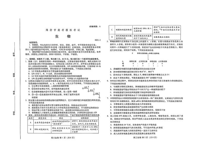 2022-2023学年山东省潍坊市高三下学期二模生物试题（PDF版）01