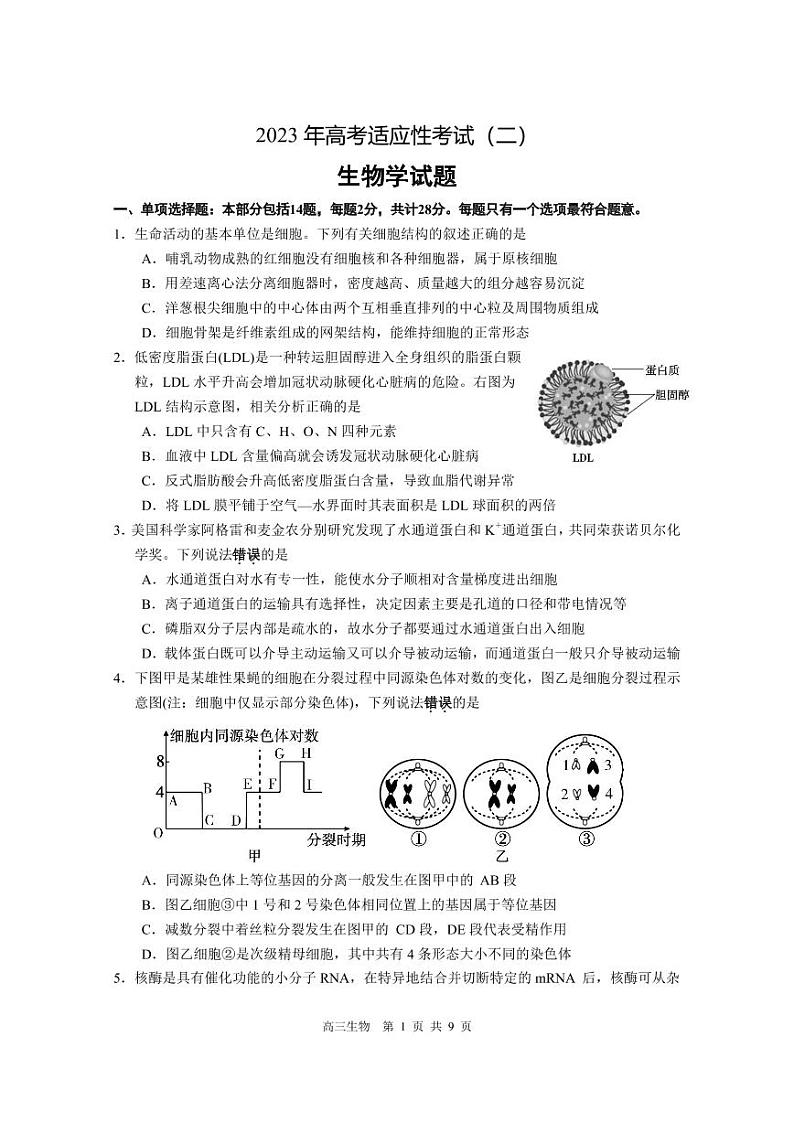 2022-2023学年江苏省南通市如皋市高三下学期高考适应性考试（二）生物 PDF版01