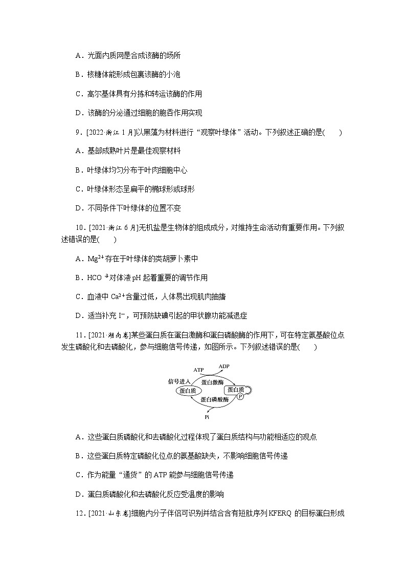 高考生物二轮复习专项分层特训专题一生命系统的物质基础和结构基础含答案第3页