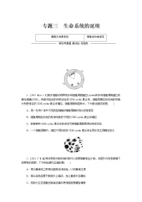 高考生物二轮复习专项分层特训专题三生命系统的延续含答案