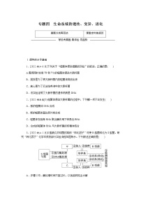 高考生物二轮复习专项分层特训专题四生命系统的遗传、变异、进化含答案