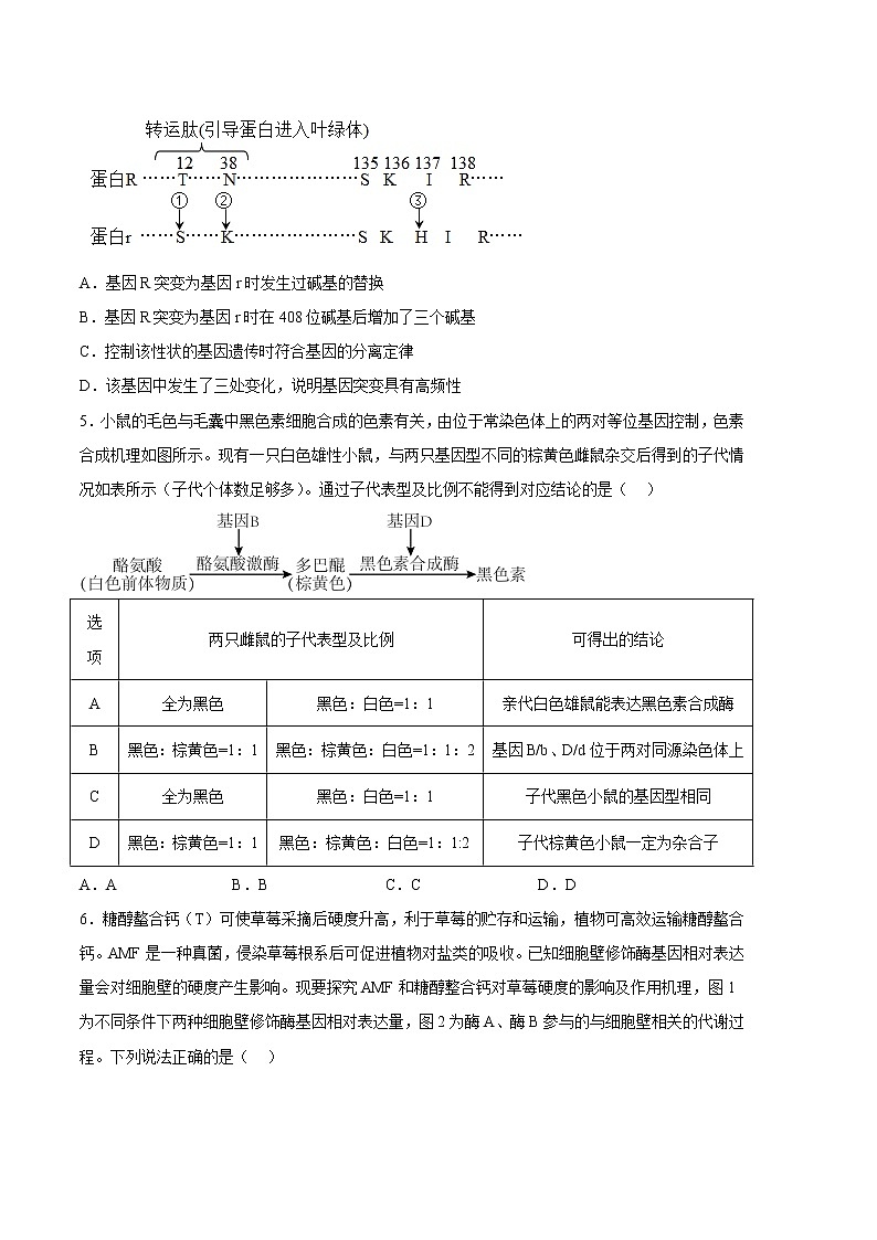 2023年高考第三次模拟考试卷-生物（辽宁B卷）（考试版）第3页
