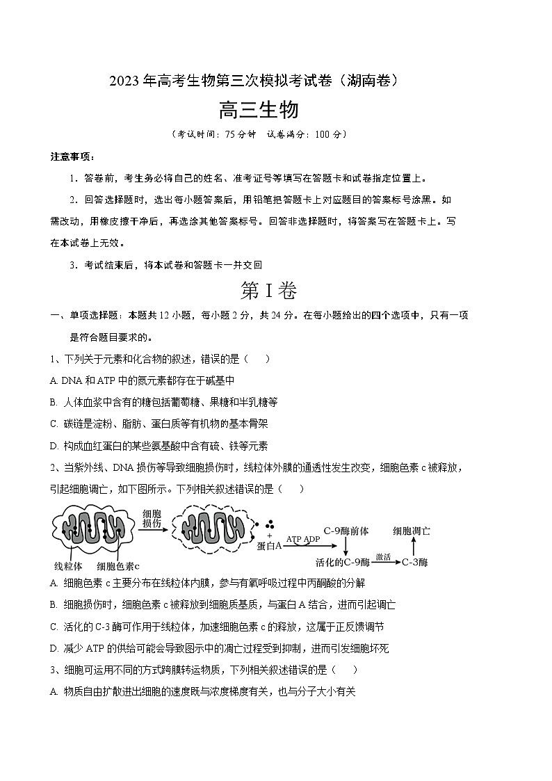 2023年高考第三次模拟考试卷-生物（湖南B卷）（考试版）01