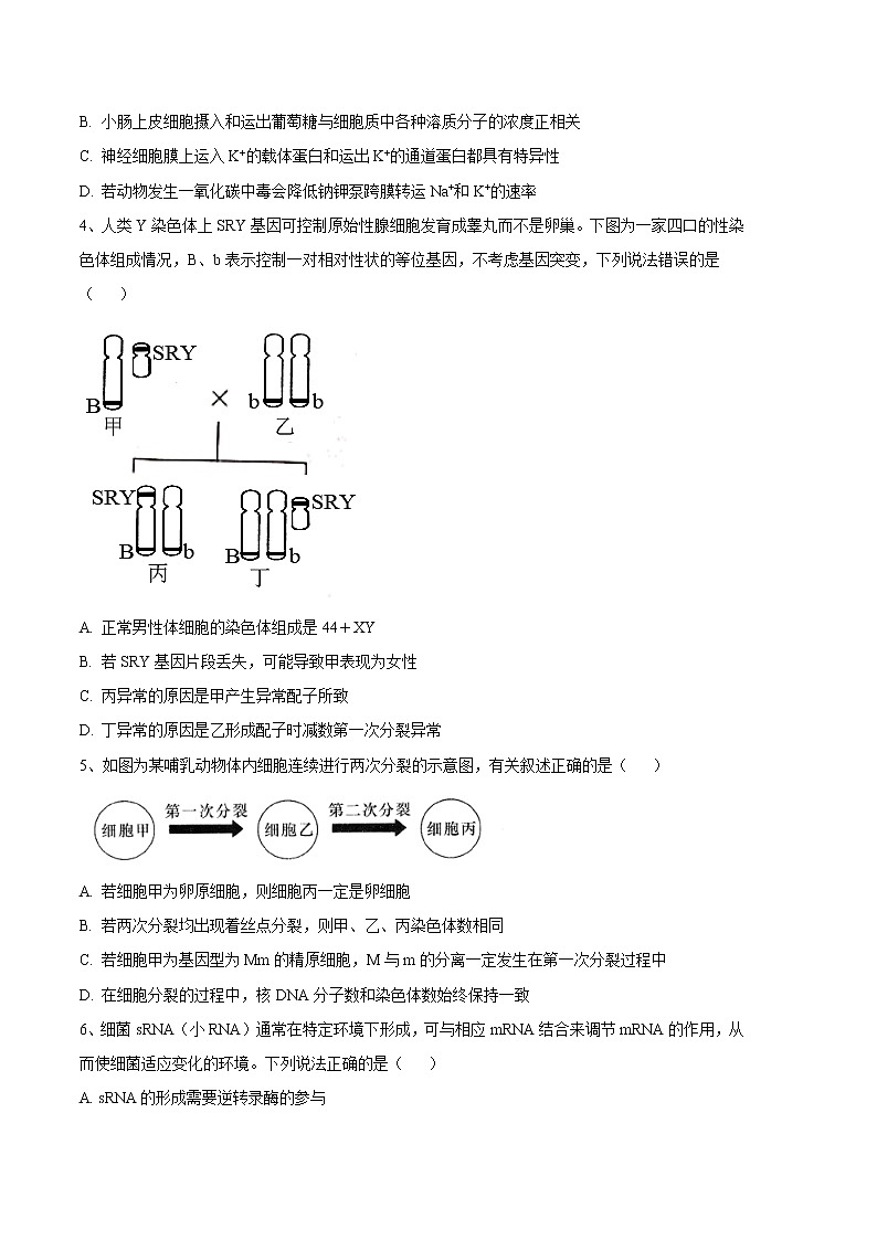 2023年高考第三次模拟考试卷-生物（湖南B卷）（考试版）02