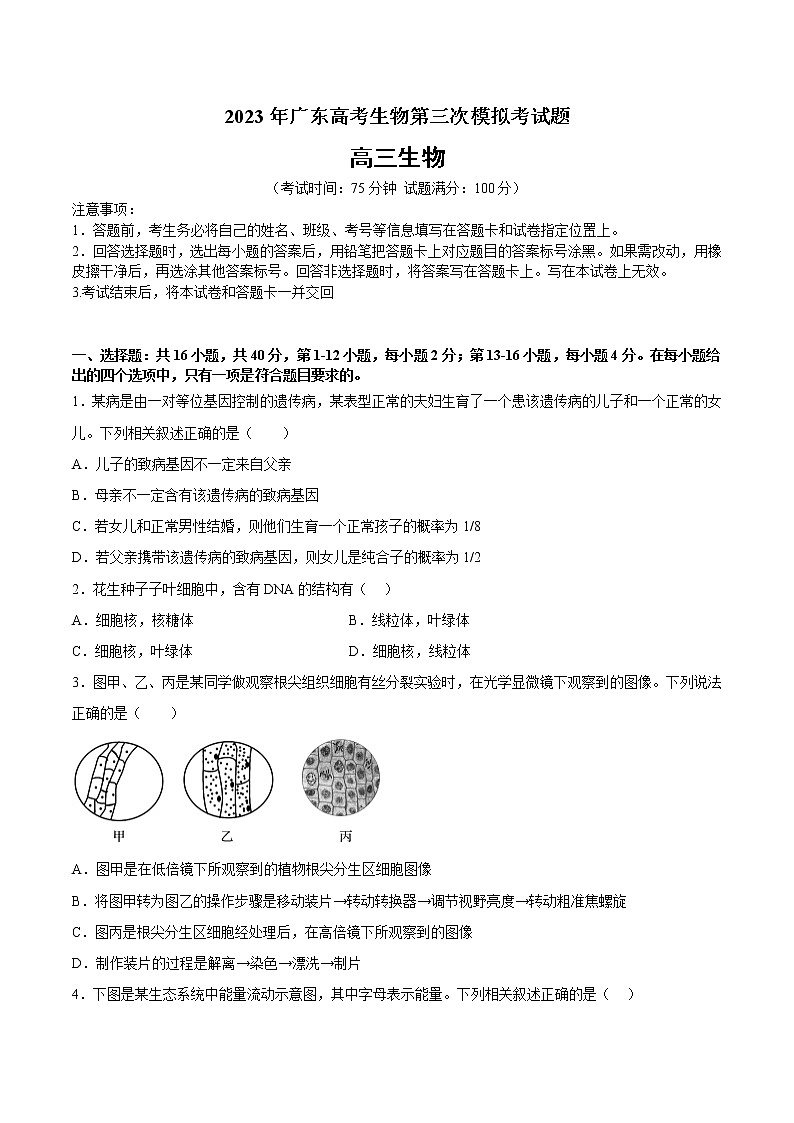 2023年高考第三次模拟考试卷-生物（广东A卷）（考试版）第1页
