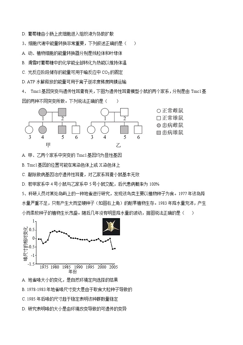 2023年高考第三次模拟考试卷-生物（北京B卷）（考试版）02