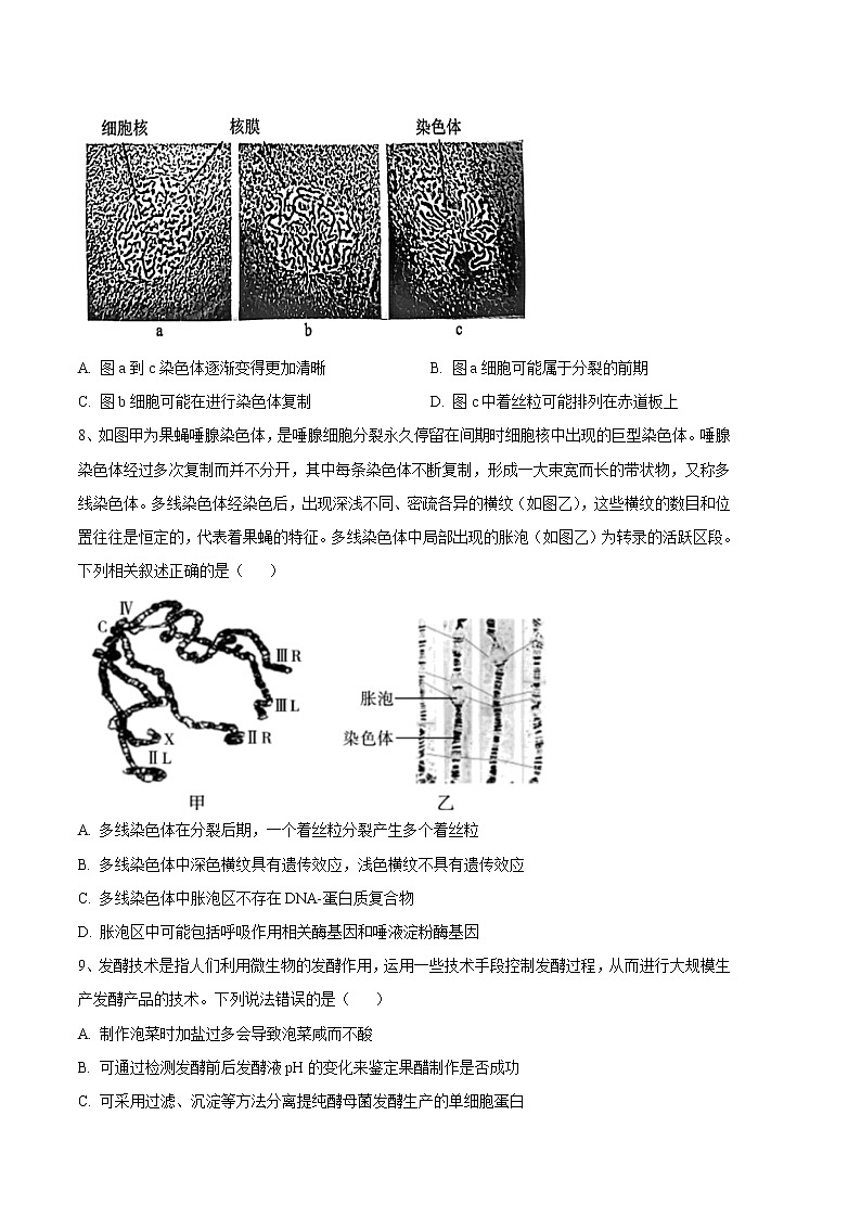 2023年高考第三次模拟考试卷-生物（江苏A卷）（考试版）03